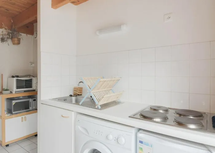 Duplex 4 Pers. A Luz-saint-sauveur, Cheminee, Jardin, Animaux Acceptes - Fr-1-402-40 *